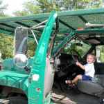 Driving the tree truck